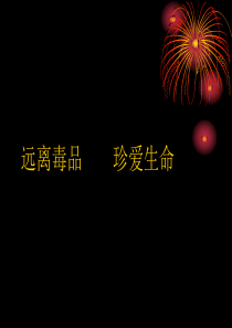 小学六年级禁毒主题班会课件PPT