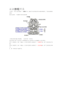 认识按钮开关