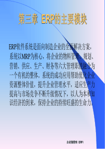 第三章-ERP的主要模块