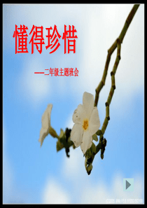 小学《懂得珍惜》主题班会
