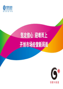 精美PPT-公司总结分析报告