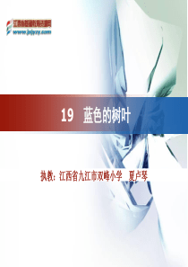 蓝色的树叶(一)教学课件