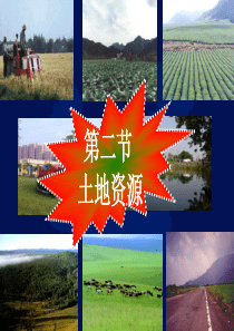 第二节 土地资源