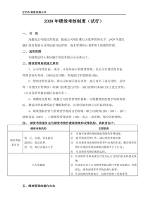 XXX投资有限公司2009年绩效考核方案
