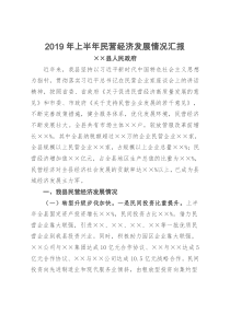 2019年上半年民营经济发展情况汇报