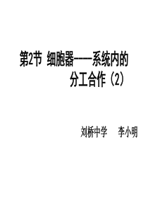 细胞器之间的协调配合