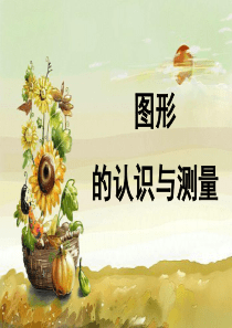 人教版小学数学六年级下册总复习空间与图形：图形的认识与测量