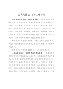 公司党委2019年工作计划