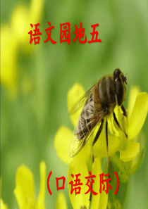 新课标人教版语文二年级下册《语文园地五(口语交际)》[1]