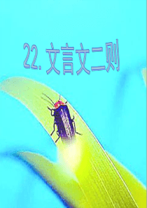 部编版四年级语文下册22.文言文二则