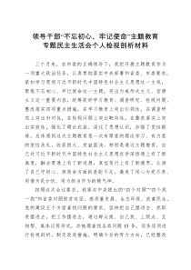 县处级领导干部主题教育专题民主生活会剖析检视材料