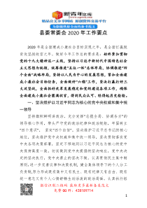 县委常委会2020年工作要点