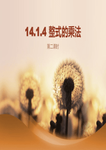 14.1.4整式的乘法第2课时(单项式乘多项式)