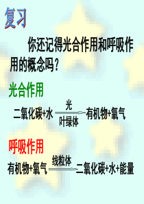6.5光合作用和呼吸作用原理的应用