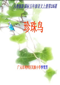 《珍珠鸟》教学课件1