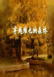 《穿越维也纳森林》ppt课件1