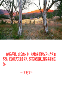 八年级数学上册 一次函数图象专题复习课