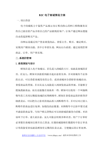 B2C电子商城筹备策划方案