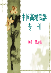 中国高端武器专刊