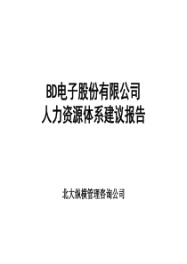 BD电子股份有限公司人力资源体系建议报告