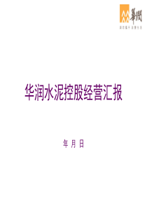 华润水泥经营汇报(模板)
