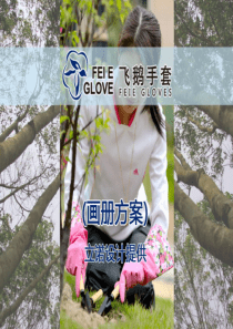 张家港样本画册设计制作方案(飞鹅)
