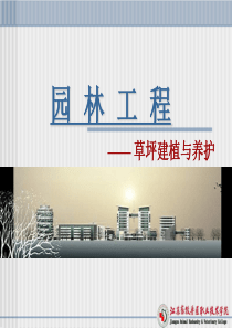 草坪建植与养护
