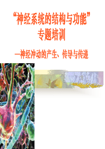“神经系统的结构与功能”专题讲座