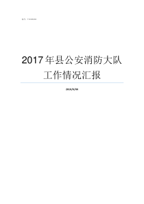 2017年县公安消防大队工作情况汇报