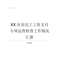 XX区农民工工资支付专项巡查检查工作情况汇报农民工工资支付比例