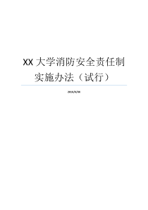 XX大学消防安全责任制实施办法试行安全责任制实施办法XX不X成语