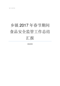 乡镇2017年春节期间食品安全监管工作总结汇报乡镇长2017年个人总结