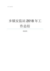 乡镇安监站2018年工作总结