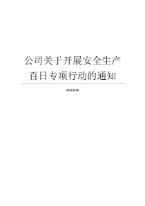 公司关于开展安全生产百日专项行动的通知安全生产专项治理安全生产
