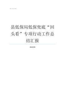 县低保局低保兜底回头看专项行动工作总结汇报低保兜底什么意思