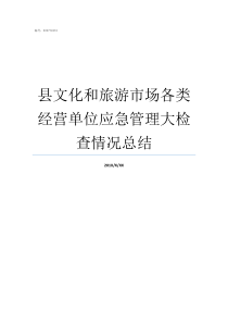 县文化和旅游市场各类经营单位应急管理大检查情况总结文化旅游市场整治