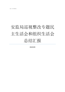 安监局巡视整改专题民主生活会和组织生活会总结汇报安监局