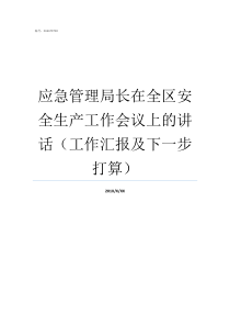 应急管理局长在全区安全生产工作会议上的讲话工作汇报及下一步打算应急管理局局长什么级别