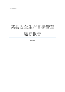 某县安全生产目标管理运行报告安全生产目标管理的内容