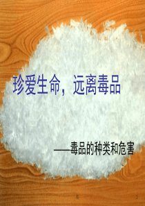 珍爱生命-远离毒品学习学习课件