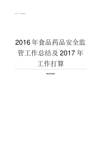 2016年食品药品安全监管工作总结及2017年工作打算