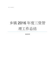 乡镇2016年度三资管理工作总结