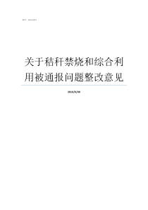 关于秸秆禁烧和综合利用被通报问题整改意见秸秆禁烧