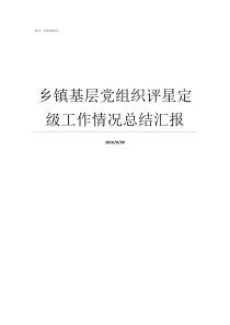 乡镇基层党组织评星定级工作情况总结汇报加强乡镇基层党组织