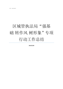 区城管执法局强基础nbsp转作风nbsp树形象专项行动工作总结城管执法局电话