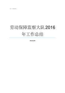 劳动保障监察大队2016年工作总结