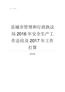 县城市管理和行政执法局2016年安全生产工作总结及2017年工作打算城市管理行政执法职能具体有哪些