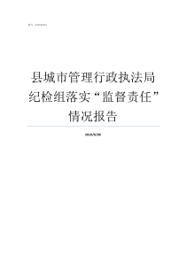 县城市管理行政执法局纪检组落实监督责任情况报告综合执法局有几种编制