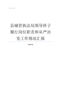 县城管执法局领导班子履行岗位职责和从严治党工作情况汇报桃源县城管执法局领导班子