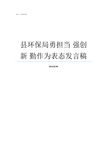 县环保局勇担当nbsp强创新nbsp勤作为表态发言稿